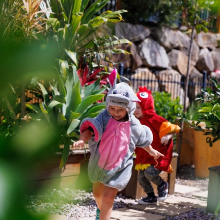 Nature Play At Little Scholars