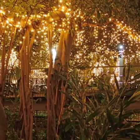 Best Parks In Brisbane