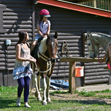 Horse Riding Brisbane And Gold Coast For Toddlers And Young Children