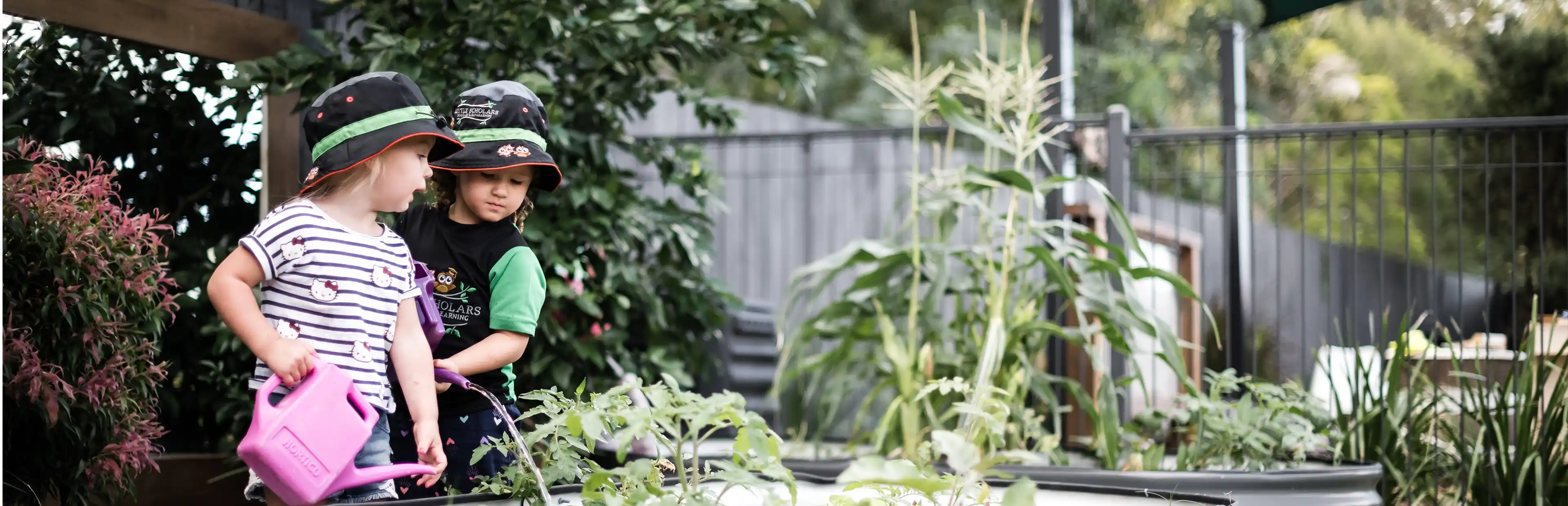 Childcare Environmental Education | Environment Warriors QLD