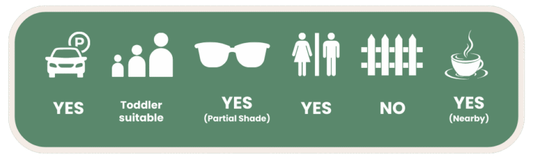 Lion’s Park, Helensvale Facilities Guide For Families