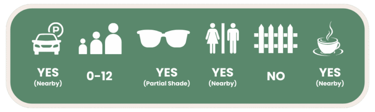 Palm Beach Pirate Park Facilities Guide For Families