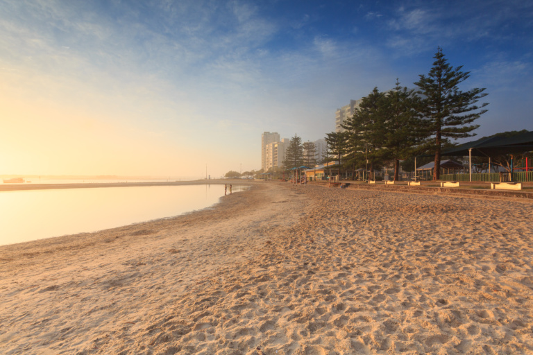 Australian,foggy,morning,at,broadwater,(gold,coast,,labrador,,qld,,australia)