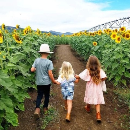 Three children walking away holding hands down a dirt path through a tall, vibrant field of sunflowers on a sunny day.
