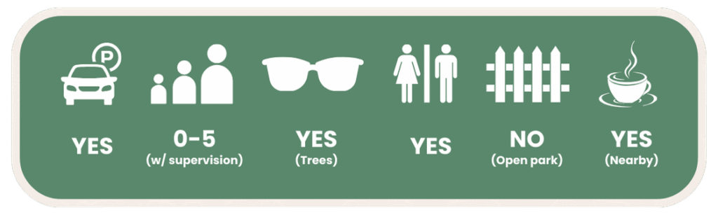 Currumbin Rock Pools Facilities Guide For Families