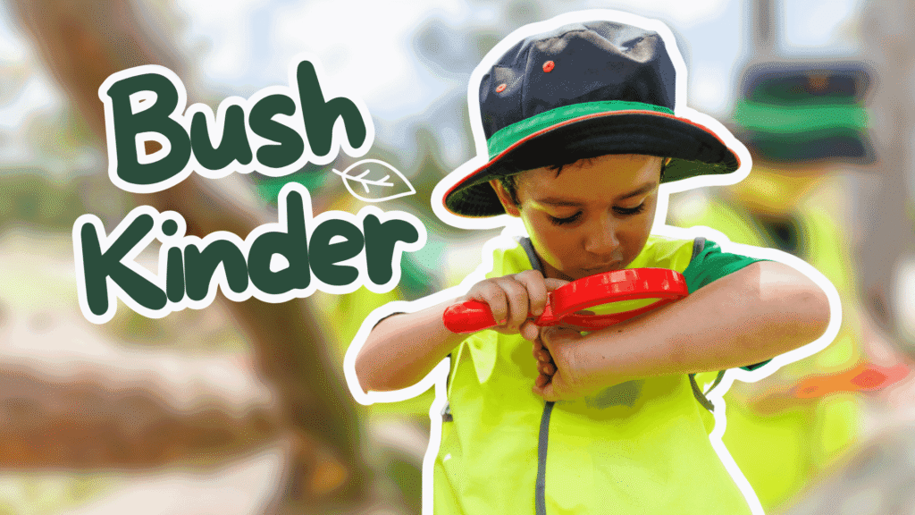 Bush Kinder at Little Scholars