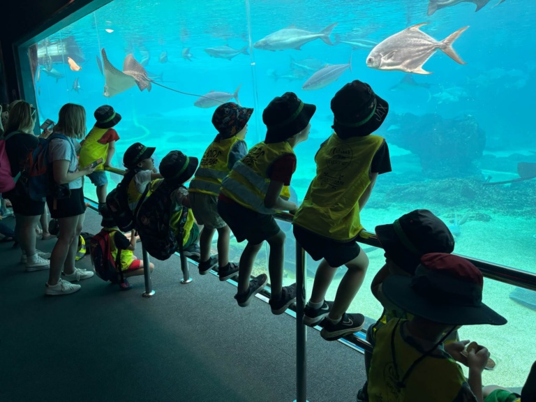 Little Scholars Vacation Care Program (1)