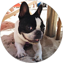 Danyel R. profile picture